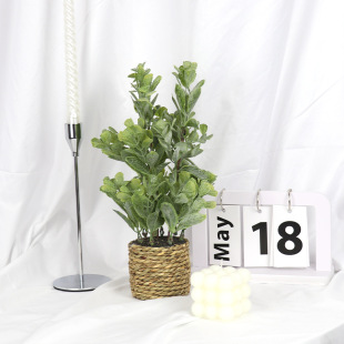Simulated Eucalyptus Plant, Money Grass, Plastic Grass, Flower Arrangement, Simulated Green Plant