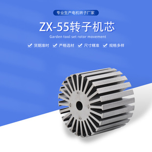 電機配件24槽轉子鐵芯沖片電主軸轉子小家電外電機定轉子廠家批發