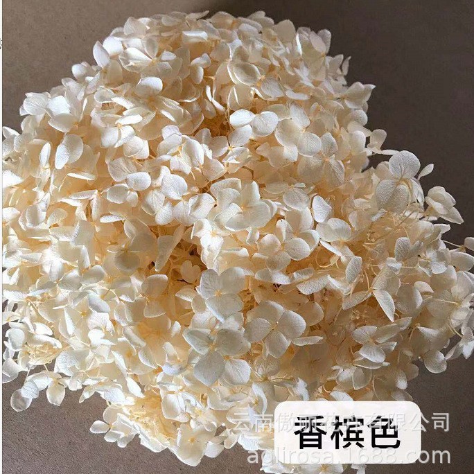 Grado A Anna Hortensia flor permanente flor seca Hortensia de hoja pequeña 20g Hortensia en caja fábrica al por mayor MATERIAL DE FLOR DE San Valentín