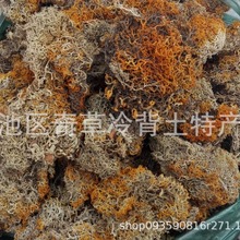 ��ˢ��,��ʯ��,Ұ��,��ˢ����ș��,ʯ���ֲ����ʯ���ȫ�w