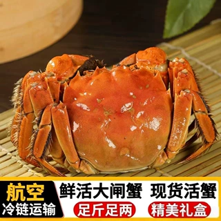江苏大闸蟹现货鲜活螃蟹满黄满膏全母公蟹航空冷链顺丰包邮批发
