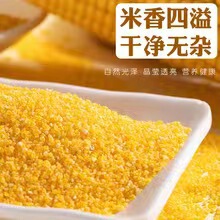 �SŴ���ײ������HŴ�����B���ߵ��װ���Ŵ��������S���ײ��