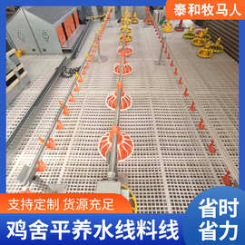 全自动养殖场鸡舍水线 鸡鸭养殖料线肉鸡平养料盘式喂料线饮水线