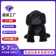 ���޶��ƴ�̖����ë�q��߹��ж��� �����ṷ��ɫ ��ż��D����