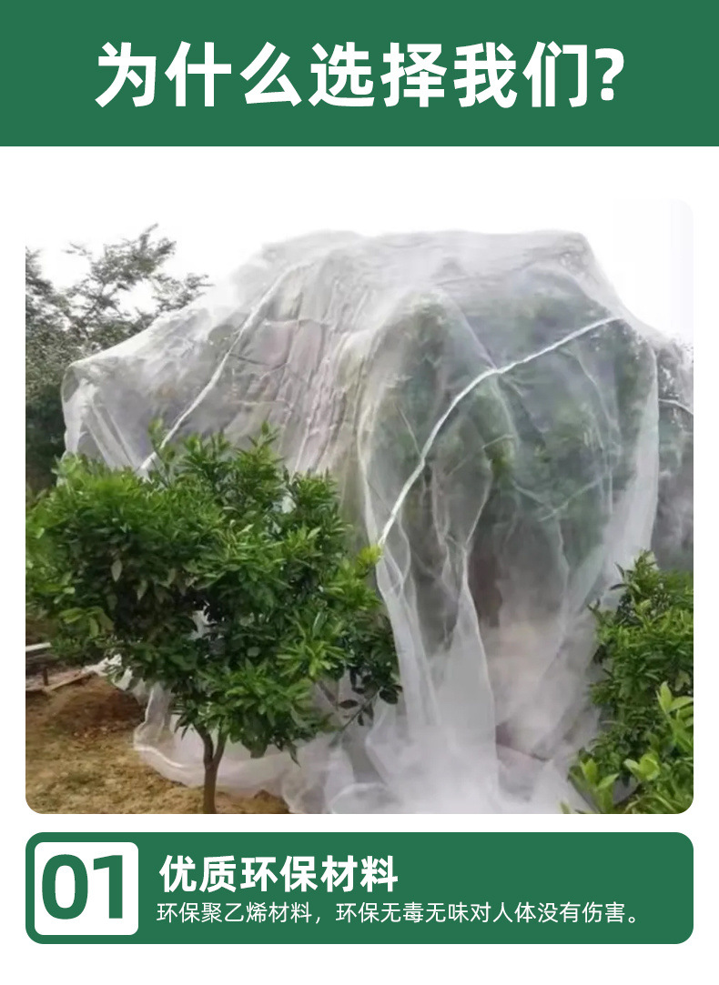 4c6f5380-be94-424f-a3b2-bf72ae7a1659.jpe