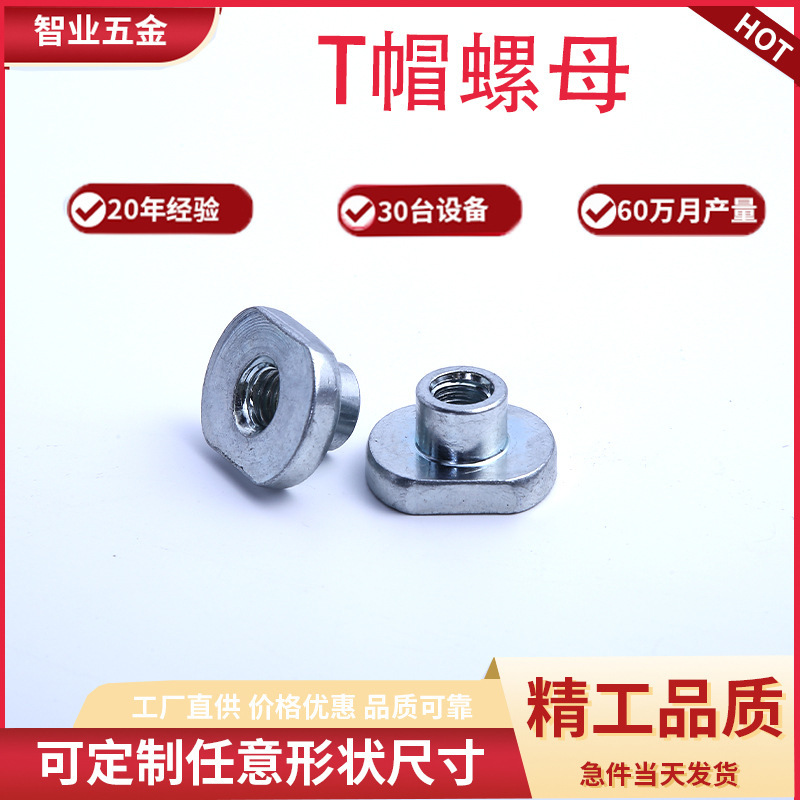 Directly Supplied from the Manufacturer, Various Specifications of T-Type Nuts, Welding Nuts, T-Type Embedded Nuts, and Press-Fit Nuts Directly Supplied from the Manufacturer, Various Specifications of T-Type Nuts, Welding Nuts, T-Type Embedded Nuts, and Press-Fit Nuts