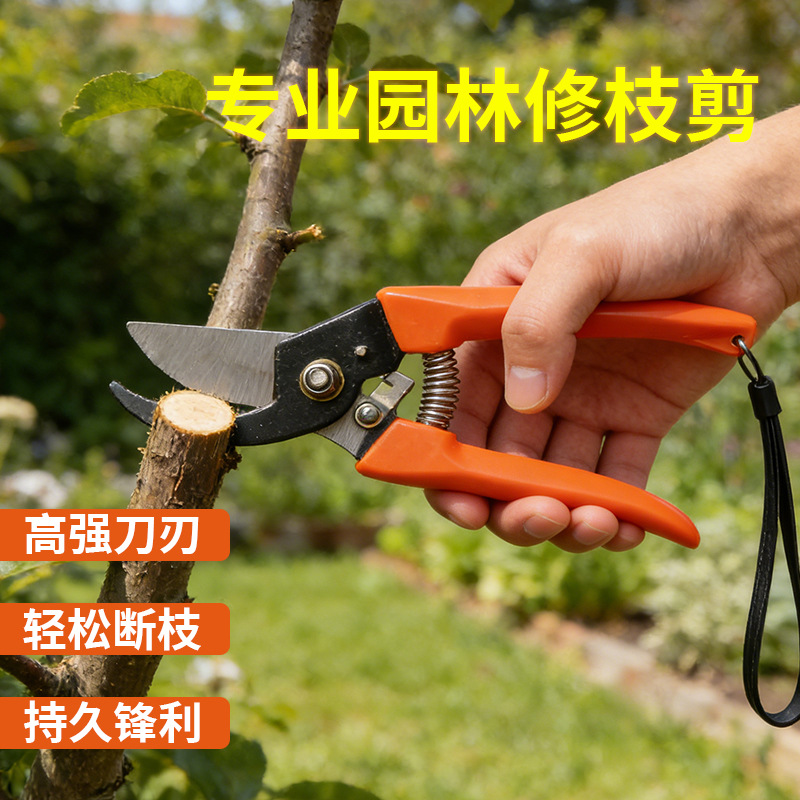 厂家直销高质量园林剪修枝剪树枝剪果枝剪摘果剪   欢迎选购