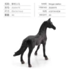 PL127-2075 Morgan Stallion 4G