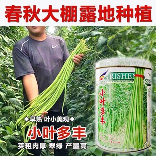 ����С�~�������N�ӹ��b�L���ǷN������߮a�������ش��ﶹ�ǷN��