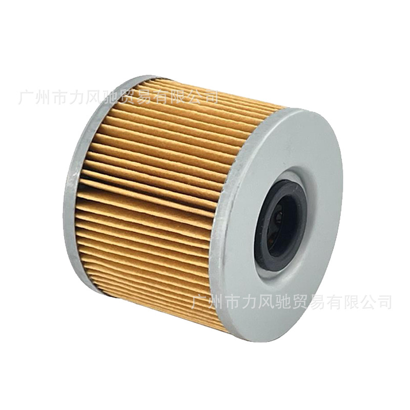 Filtro de aceite compatible con Suzuki GSF250/300/400/425/450/500/550 1986-1997