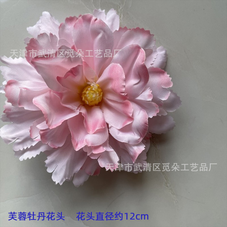 히비스커스 모란