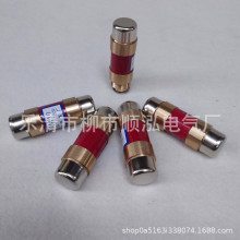 无填料封闭管式熔断器RM10 6-15A  60A 100A 200A 250V 500V