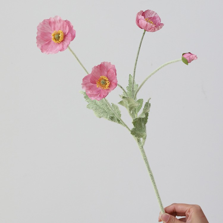 [1] 체리 파우더