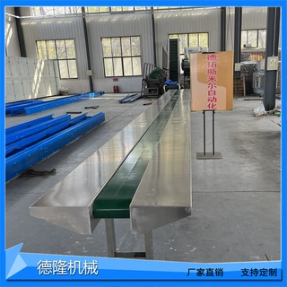 能量棒生产线农产品加工皮带机流水线果脯橘子瓣灌装工作台输送机