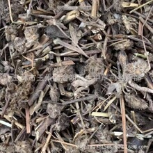 包邮500g大头陈黑头草地松茶乌头风无硫中药材产地批发