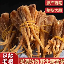 藏雪参500g西藏特产野生人参血参玉人参选大条红毛阳参西藏雪域参