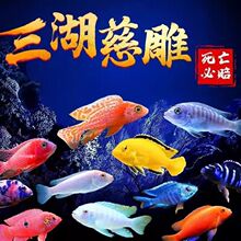 ��l��Ʒ�R���Ꭷ�^�p�~���ֺ��B��ˮ���~����