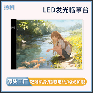 LED�Rġ͸���l���A4A5B5������������L�D���� ֧���ʯ��