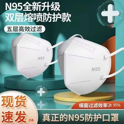 N95 National standard for masks N95 protect Mask Five layer adult Independent packing disposable Mask Meltblown KN95