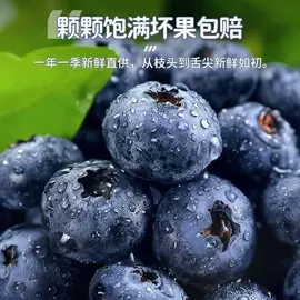 枇杷;柑桔;草莓
