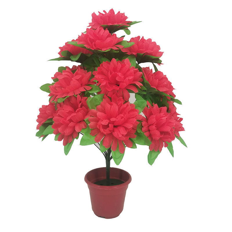 18-headed chrysanthemum with leaves (rose red) 1 branch - 1 branch + flowerpot quality choice