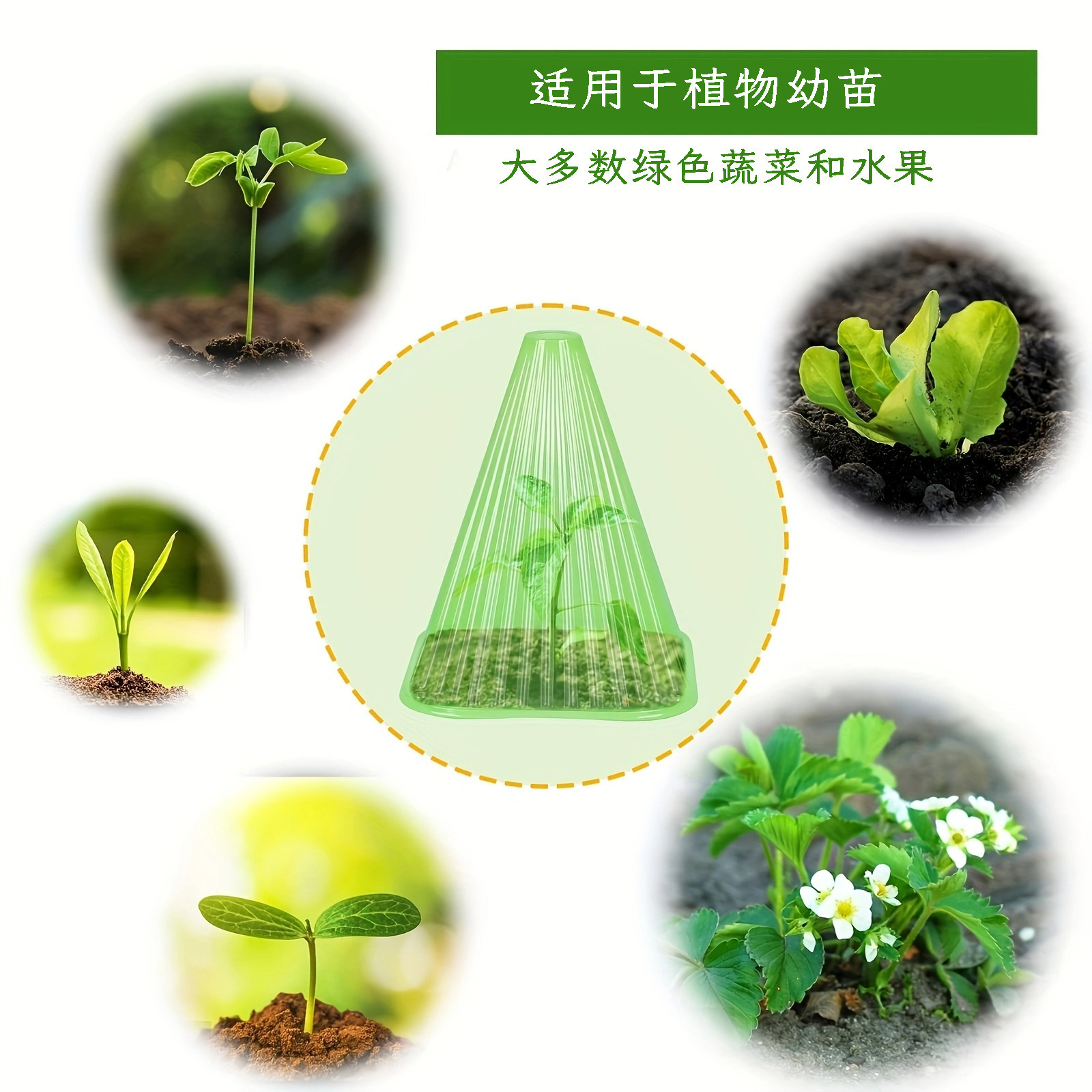 闷养育苗养护罩锥形育苗保温罩防水种植物园林园艺专用透气保温