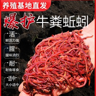 �����D�r��t�x����~�D���a�~���~Ұឺڿ��~�ϴ�C���~ʳ