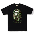 75 Black/Green