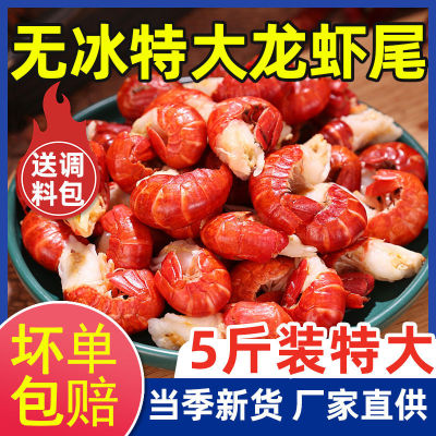 [Net weight ice free clothing]Lobster Tail Freezing Fresh Ice Large Shrimp tail Crayfish wholesale