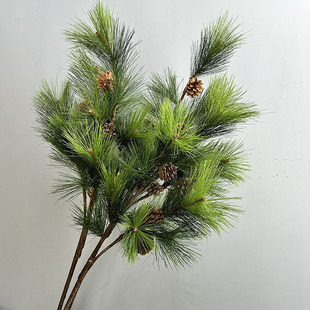 ����15�^��ᘘ�֦ ӭ���������ɵ���֦�廨�쾰�b�ֱ�N�Rβ��