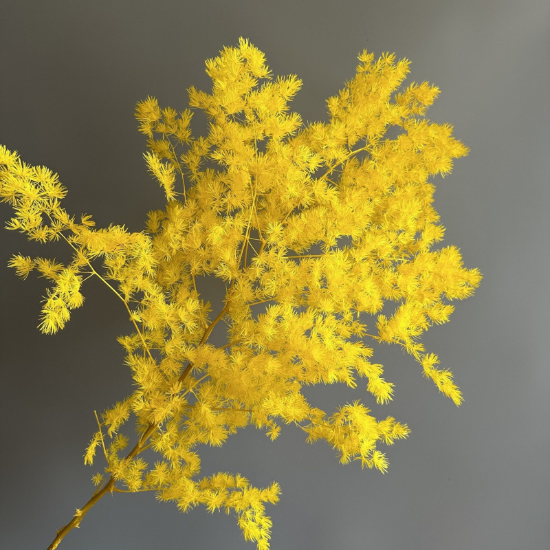 노란색(85-105g)-드라이플라워백