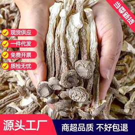 新货鹿茸菇干货古田鹿茸菌新鲜煲汤脆脆菇香菇农产品散装批发