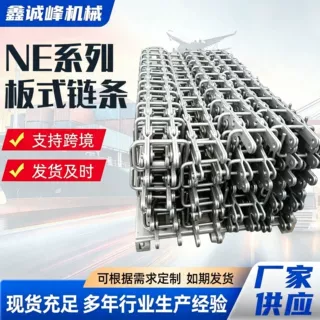 定制加工NE斗式提升机链条工业用传动板式链条ne30斗提机板链链条