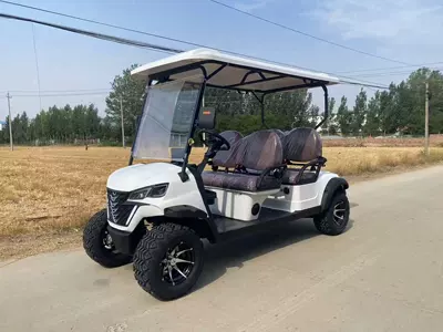 Electric Golf Carts with 2 and Elektrikli qolf avtomobilləri - 4-golf-carts