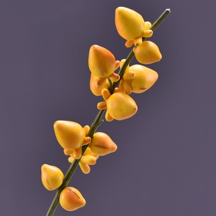 �S�����l �ߙn���滨���l����{�����l��ĭ�S������ͬ�ù��b�