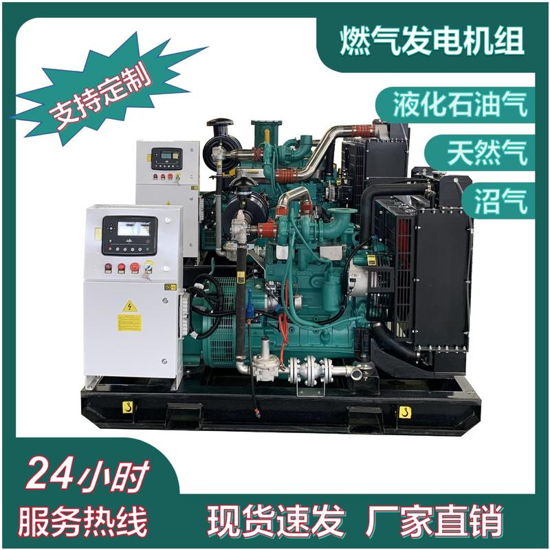 生物质气化发电机组500kw秸秆养殖粪便沼气发电机组热电联产|undefined