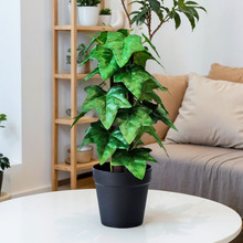 �RƬ�~�Aؐ�~������~�辰�k�������bGֲ����΢���^�͏d�Ӱ巿