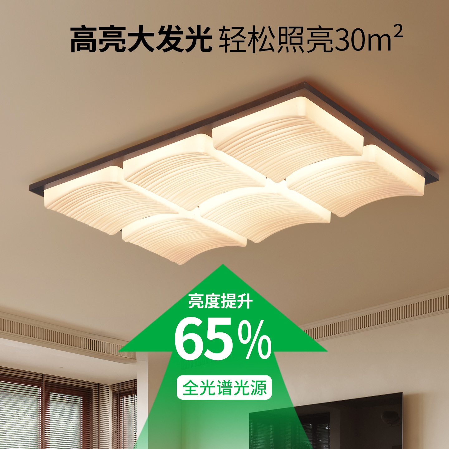 Luces de techo de la sala de estar de estilo francés, papas fritas retro, nueva atmósfera creativa, luz de protección de los ojos 357L