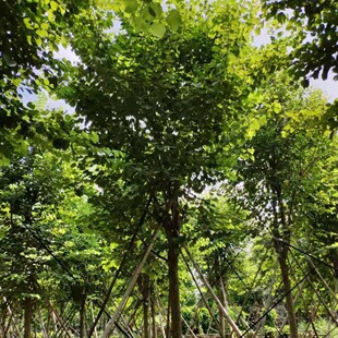 �_���е���m�����G �����G ��N�������̻���