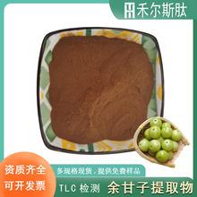 500g起订余甘子提取物10:1水溶余甘子粉药食同源原料余甘子提取物