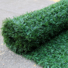 ��������F�z�W�h�ʲ�ƺ �o�ڇ����h�ʠ��ړ�ͥԺ����ٲݻh��