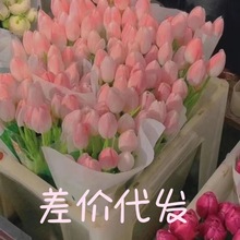 ��r朽�һ�����l��ֵ��������a�����w�������|���б؂�