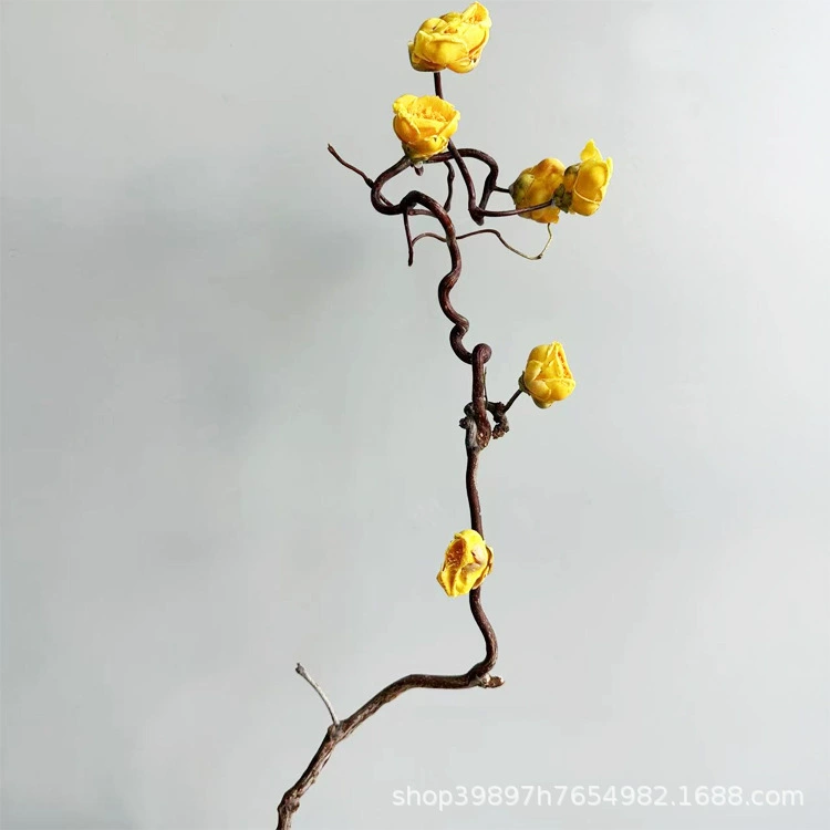 Сушёные ветки аралии, засушенные цветы, засушенные цветы wintersweet, домашняя свадьба украшение, композиции из цветов, реквизит для фотосъёмок, продажа напрямую с фабрики