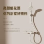 恒温全铜冷热小户型花洒