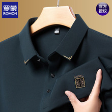 罗蒙秋季桑蚕丝男士长袖t恤薄款中年爸爸装春秋休闲翻领打底衫男