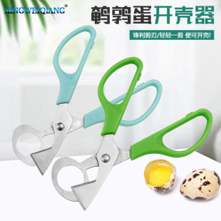 �����g�������_�ڷָ����_���� �_���е������P䓼������_����