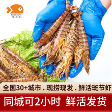 ���͝O�����r���r������r �߹��r�ش���r�Ź��r���r�r��r