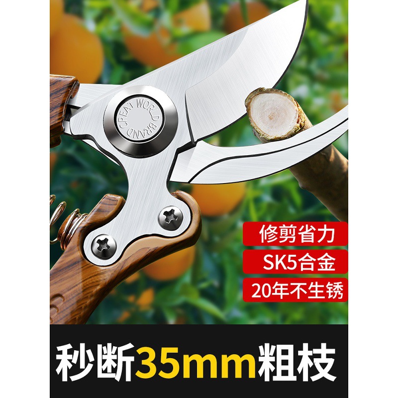 园艺修枝剪专用园林绿化修剪果树剪子花剪花艺修花粗枝剪刀工具
