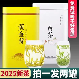 白茶;红茶;乌龙茶