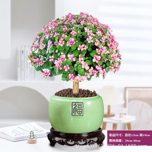 ��֦���~����ˮ�����ֲ���҃Ȼ����k���Ϙ��Gֲ�������B�͏d�辰
